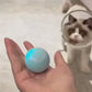 PetPlay Orb